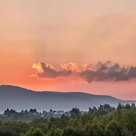Osrodek Wypoczynkowy Nad Jeziorem * Живец